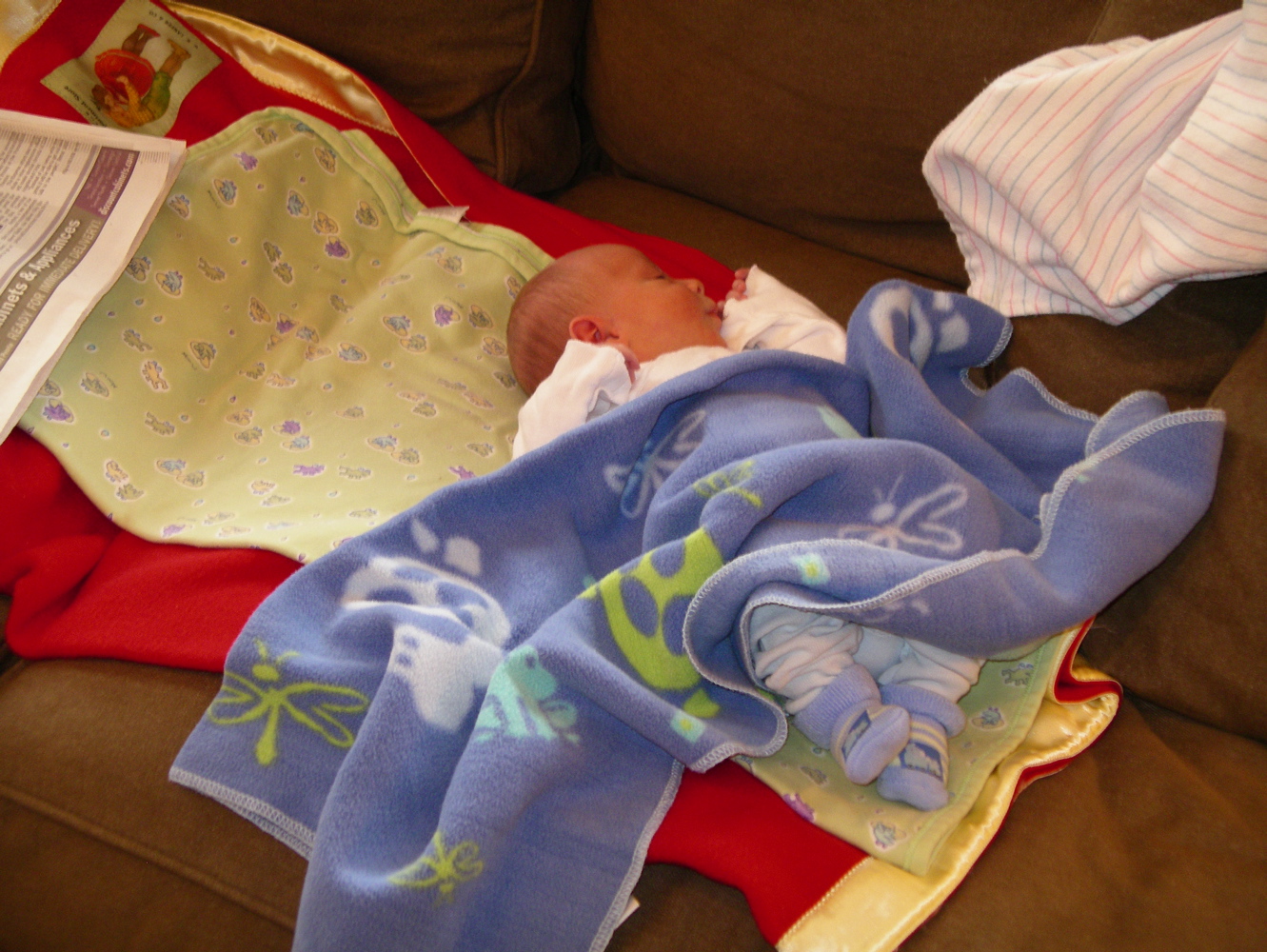 IMGP0023.JPG