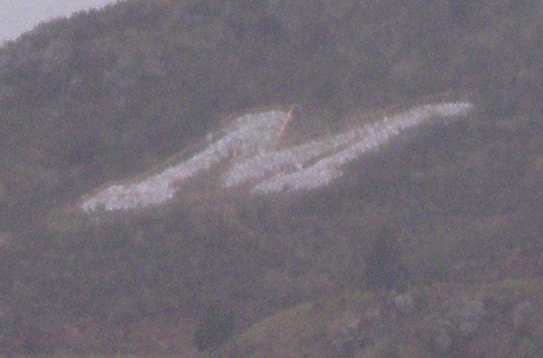 IMGP0026.JPG