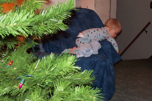 DCP_9727.JPG.jpg