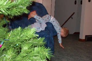 DCP_9728.JPG.jpg