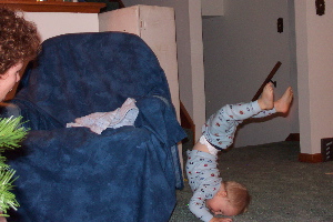 DCP_9730.JPG.jpg