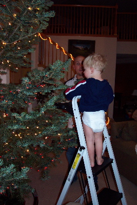 max_adds_tree_lights.jpg