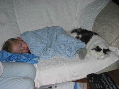 max_sleeps_with_cat.jpg