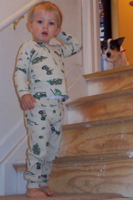 max_stairs_doggy.JPG