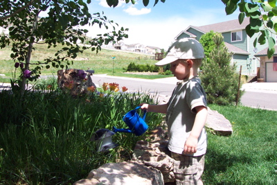 max_waters_garden_springtime.JPG