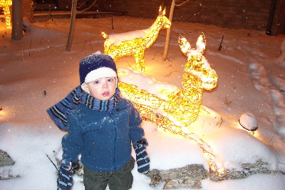 max_xmas_deer_lights.jpg