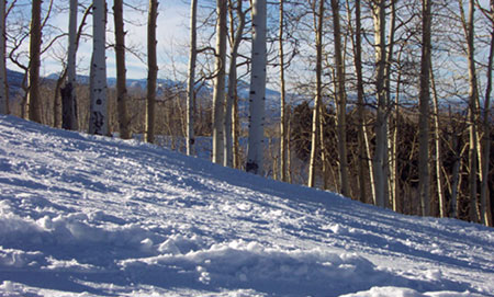 Aspen 2002